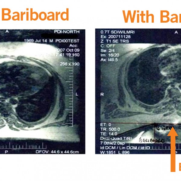 BariBoard 35725 Iron Duck